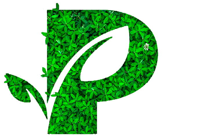 P-logo-fleuri